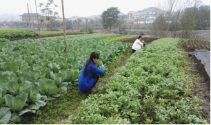 郴州蓮山莊園,郴州生態山莊,郴州原生態休閑農業莊園,郴州鄉村旅游